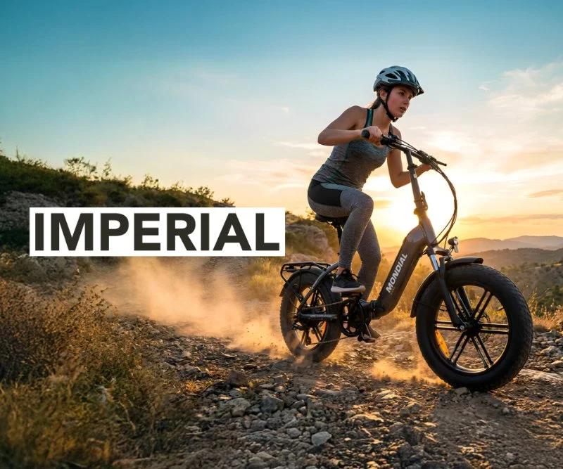 MONDIAL Mondial Imperial 2026 Model Motosiklet - Görsel 2